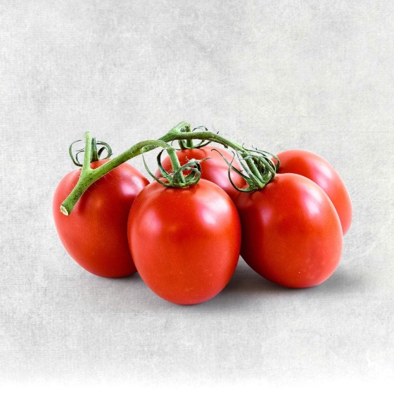 Strauchtomaten