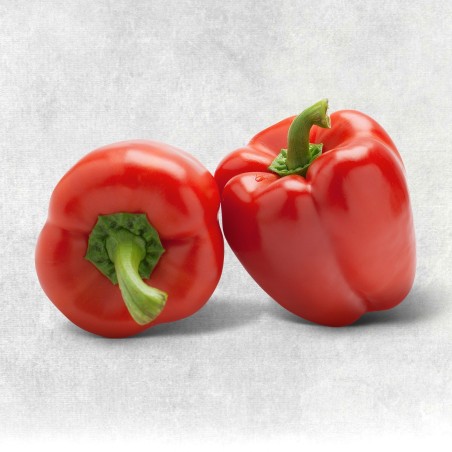 Bio-Paprika, rot