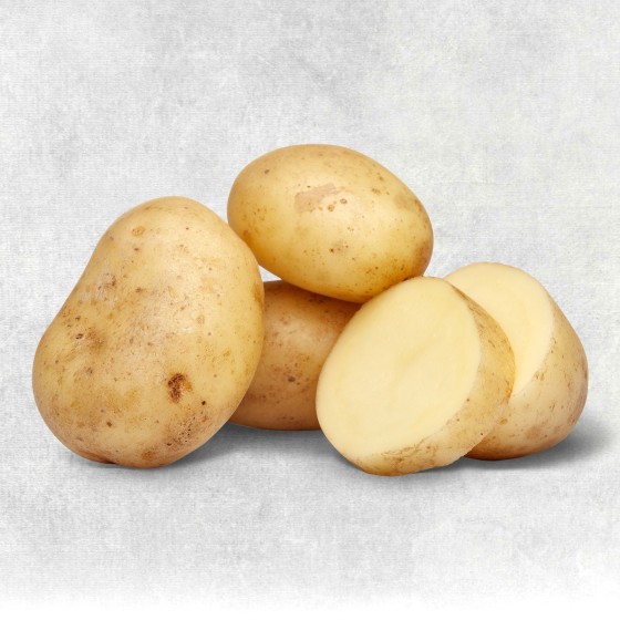 Bio-Kartoffel festkochend