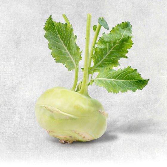 Kohlrabi Demeter