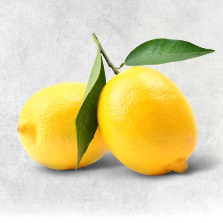 Bio-Zitrone