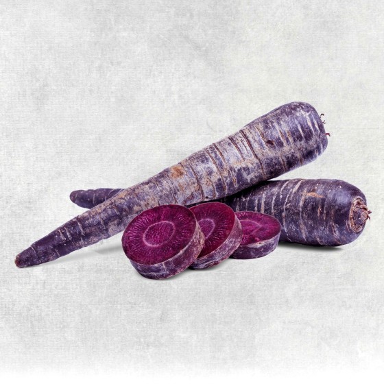 Bio-Karotten violett Purple Haze