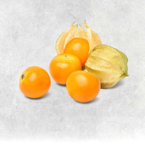 Bio-Physalis